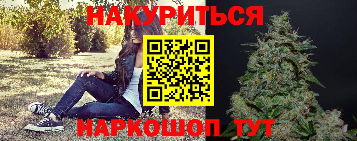 A PVP Россошь
